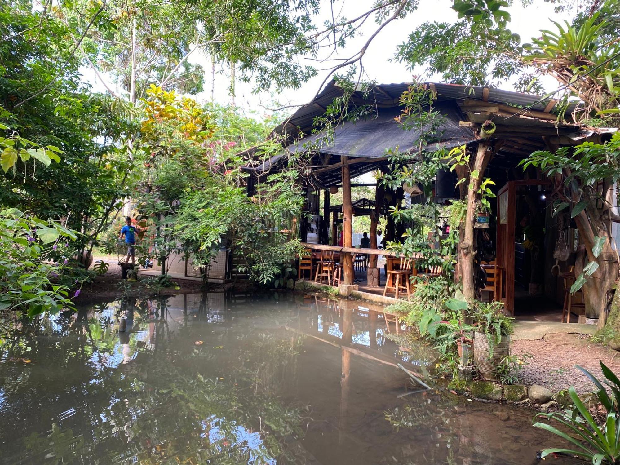 Guapote Lodge La Tigra  Exteriér fotografie