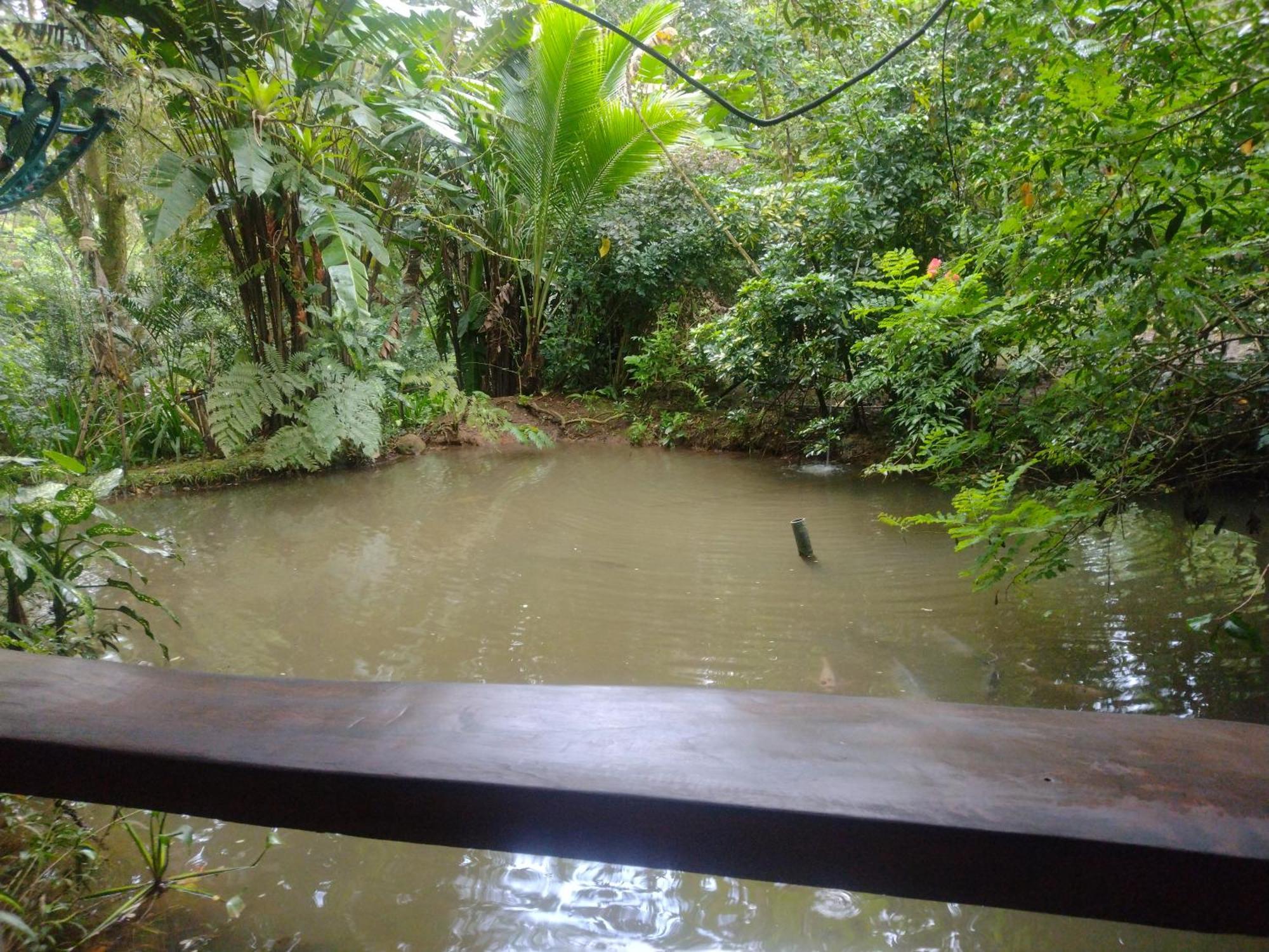 Guapote Lodge La Tigra  Exteriér fotografie