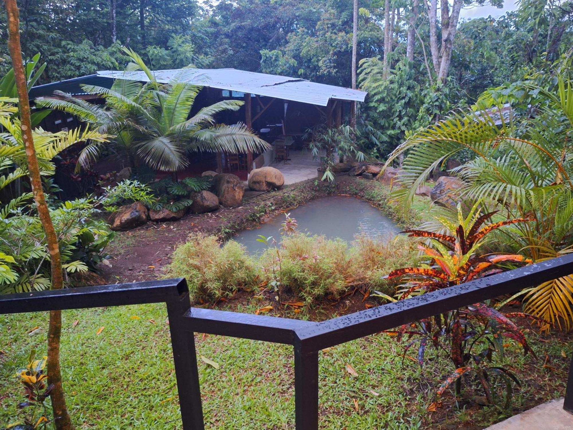 Guapote Lodge La Tigra  Pokoj fotografie