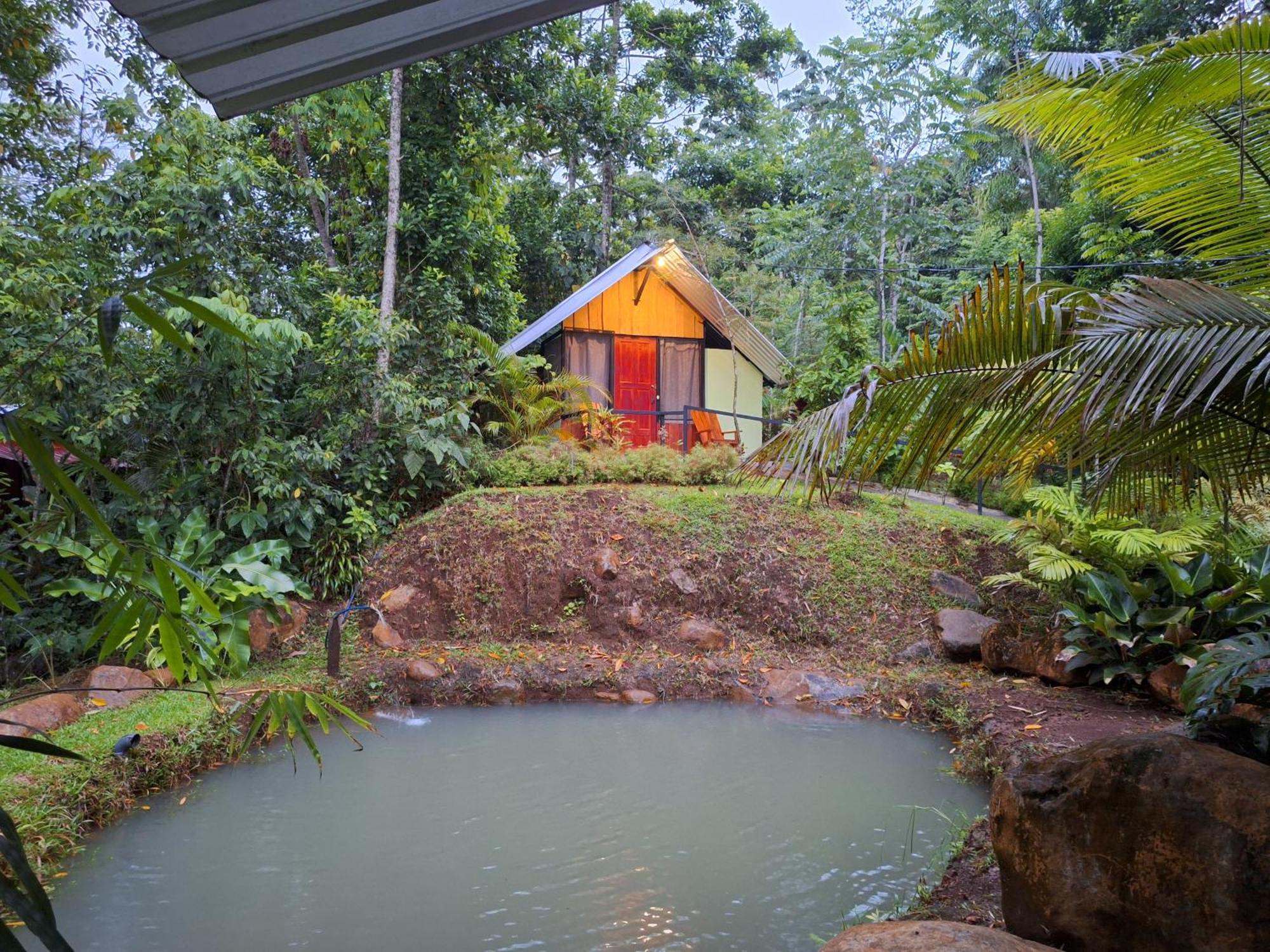Guapote Lodge La Tigra  Pokoj fotografie