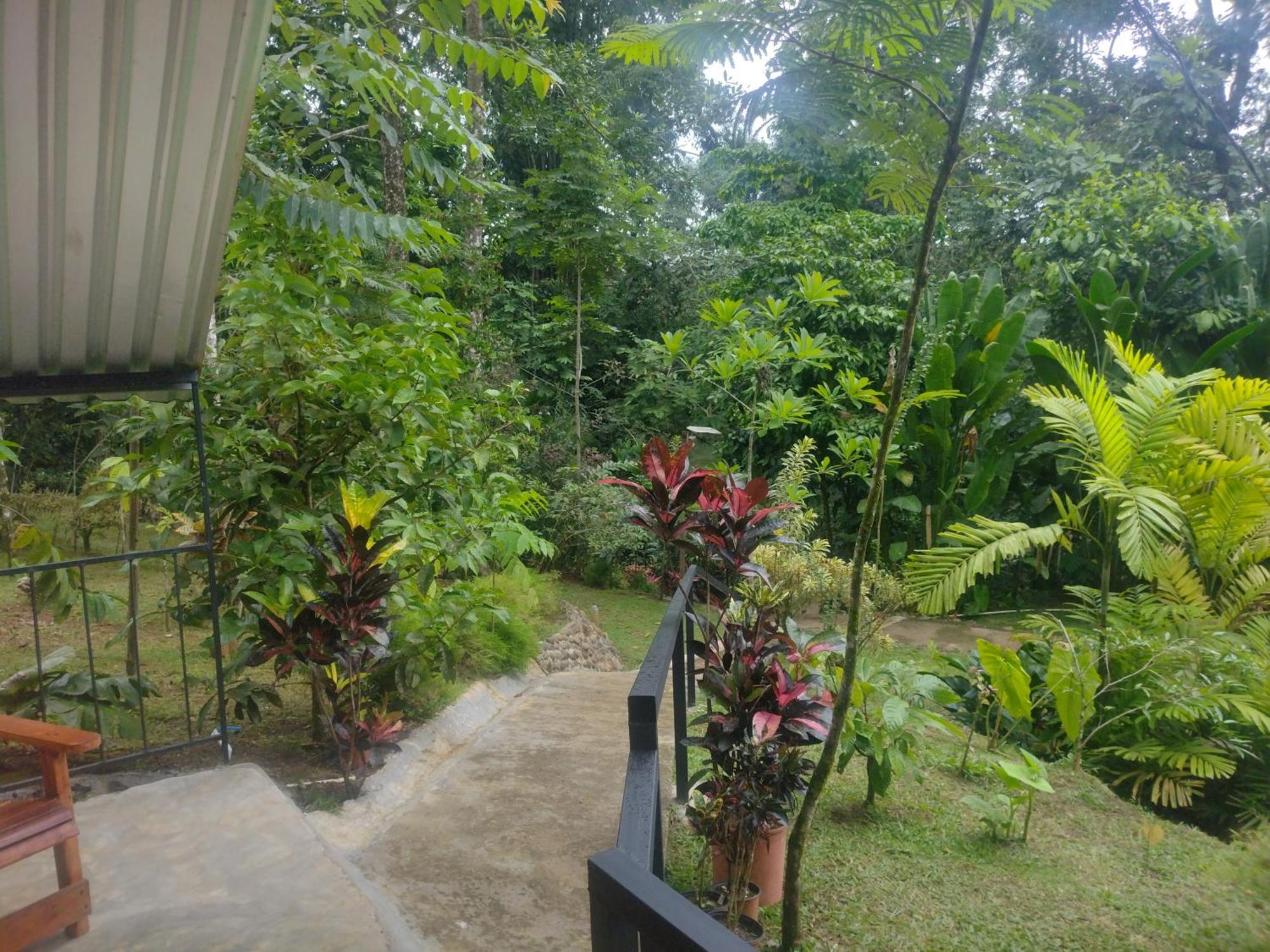 Guapote Lodge La Tigra  Pokoj fotografie