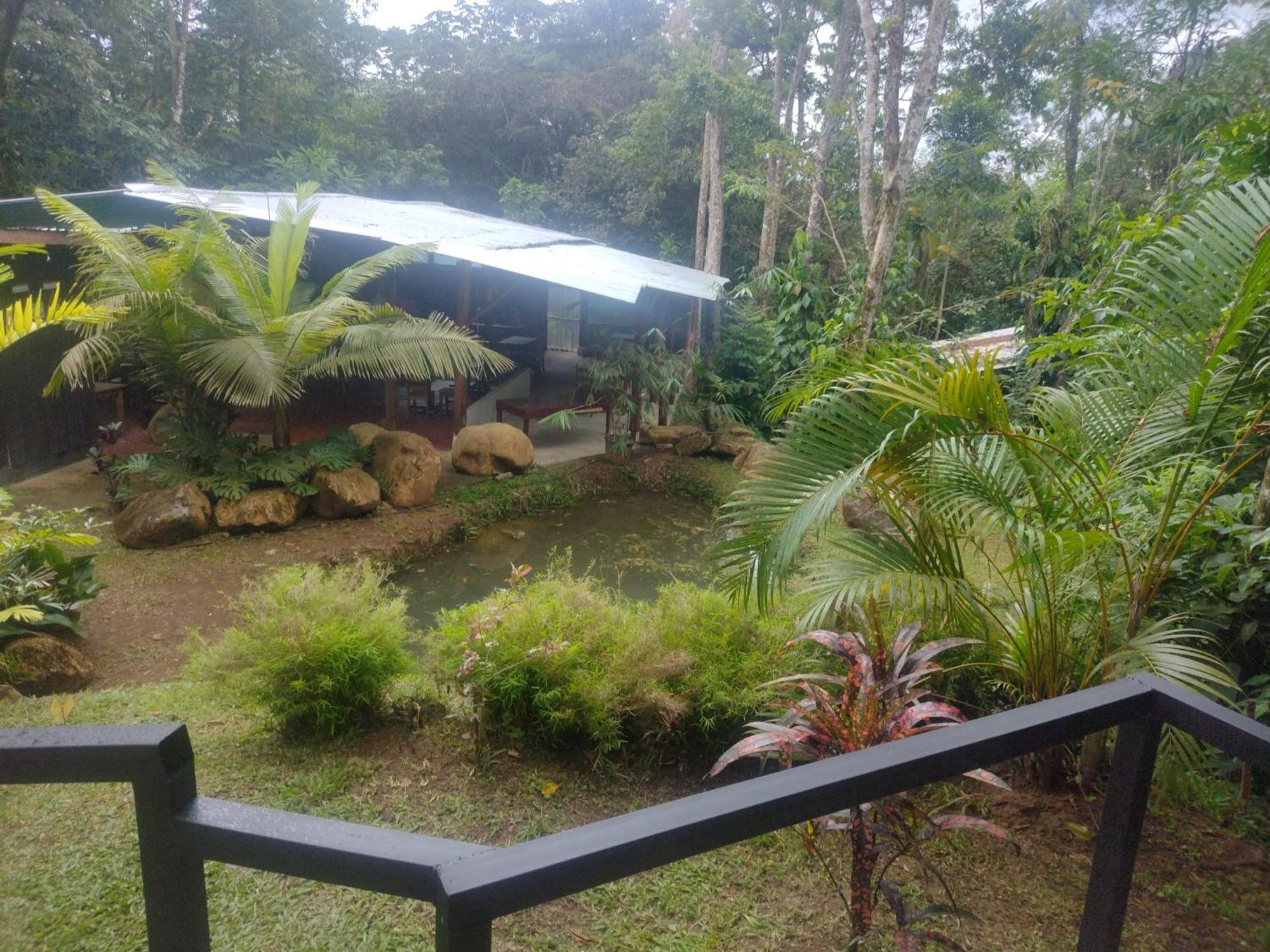 Guapote Lodge La Tigra  Pokoj fotografie