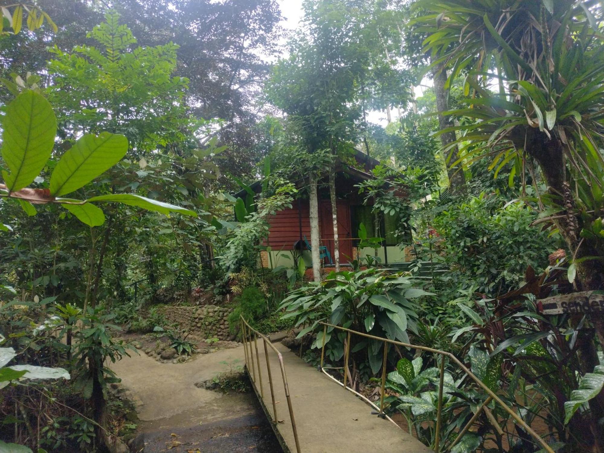 Guapote Lodge La Tigra  Pokoj fotografie