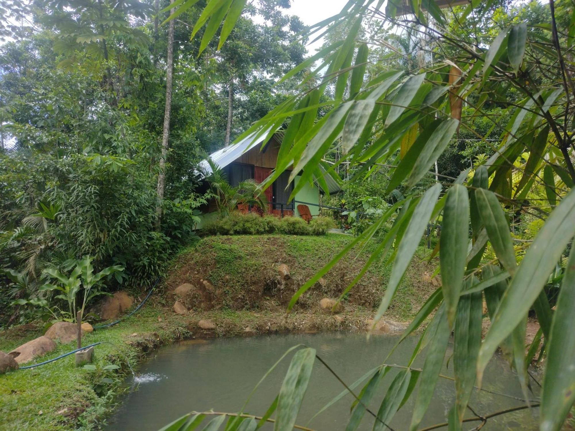 Guapote Lodge La Tigra  Pokoj fotografie