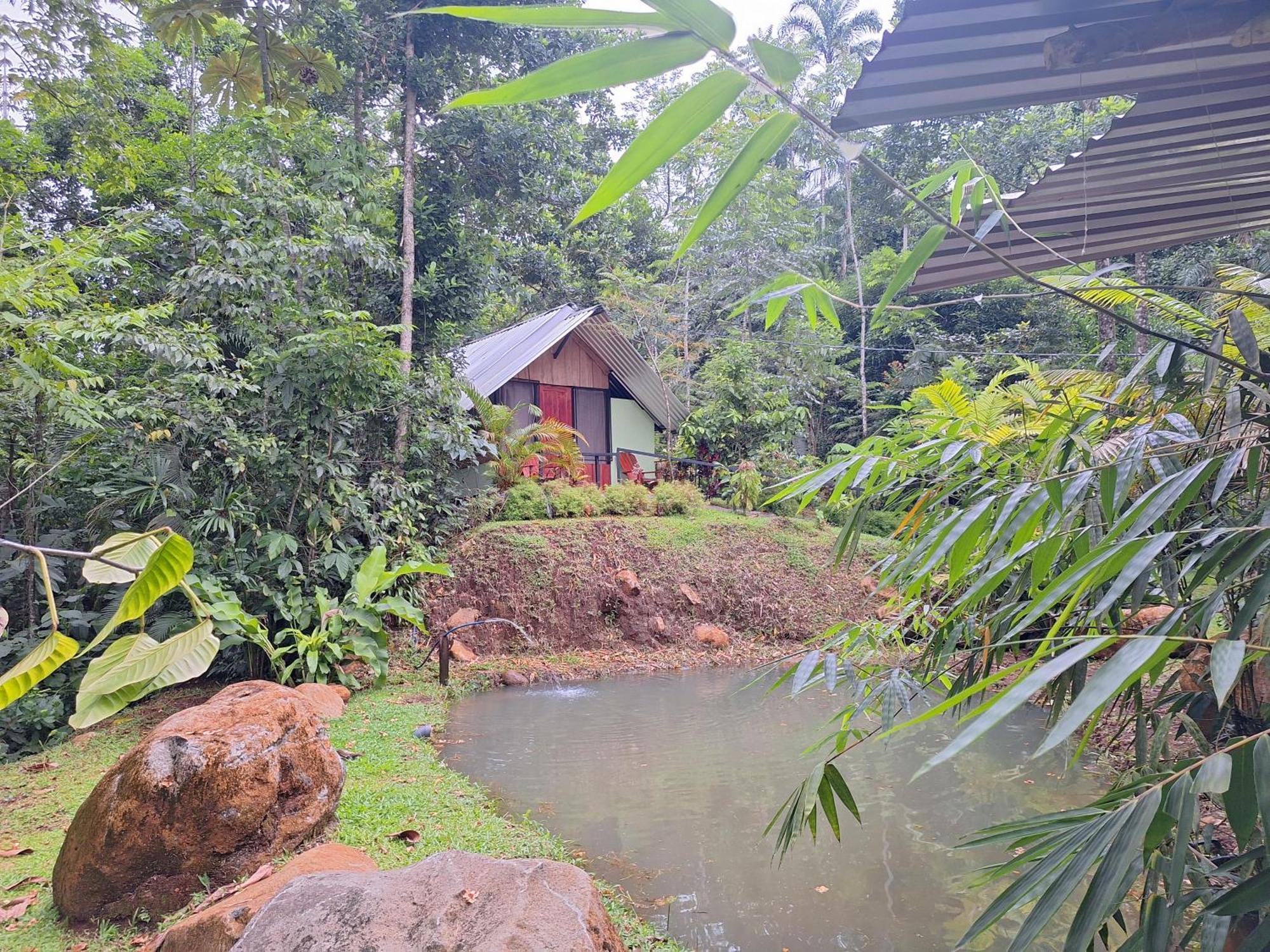Guapote Lodge La Tigra  Pokoj fotografie
