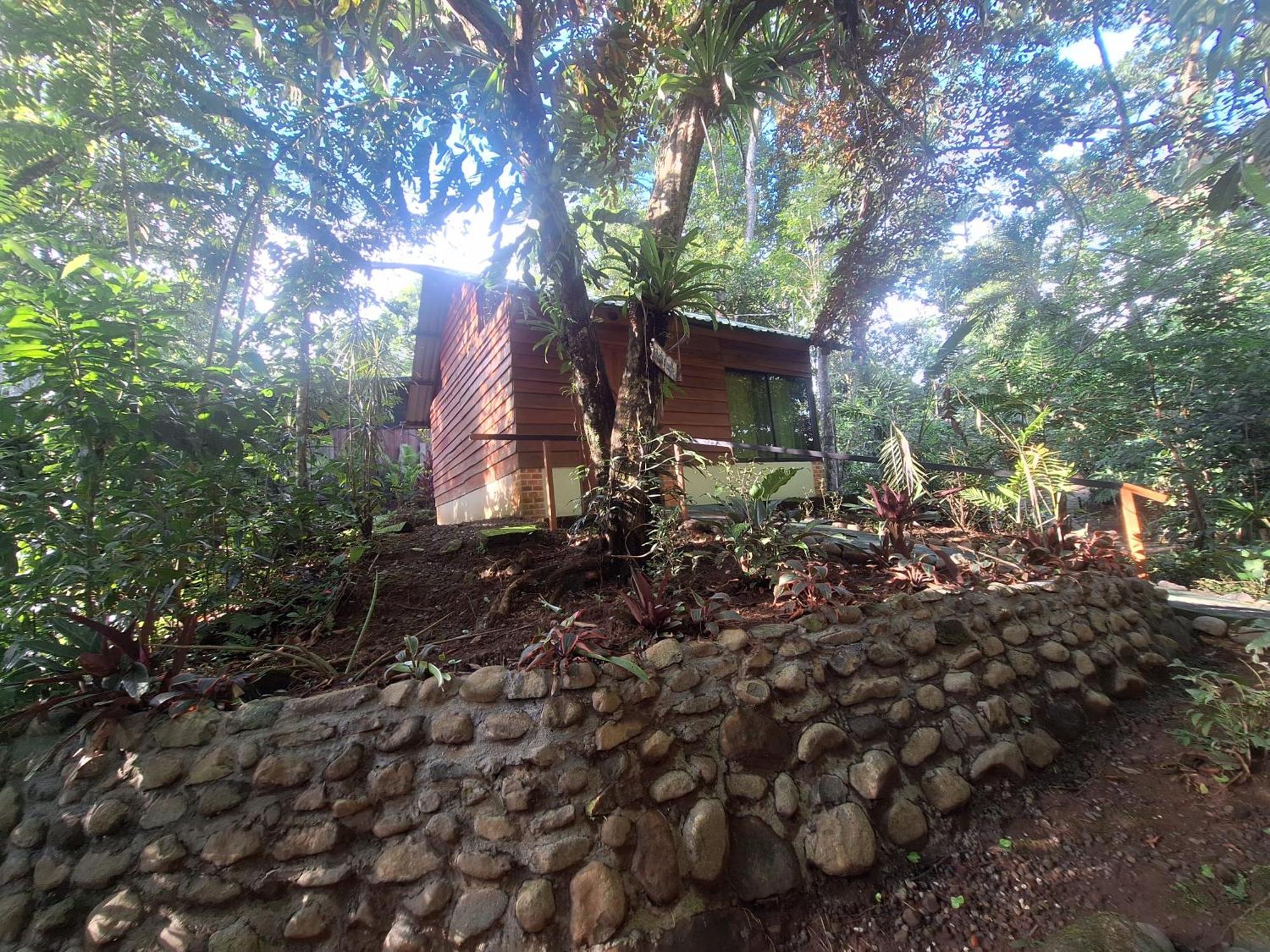 Guapote Lodge La Tigra  Exteriér fotografie