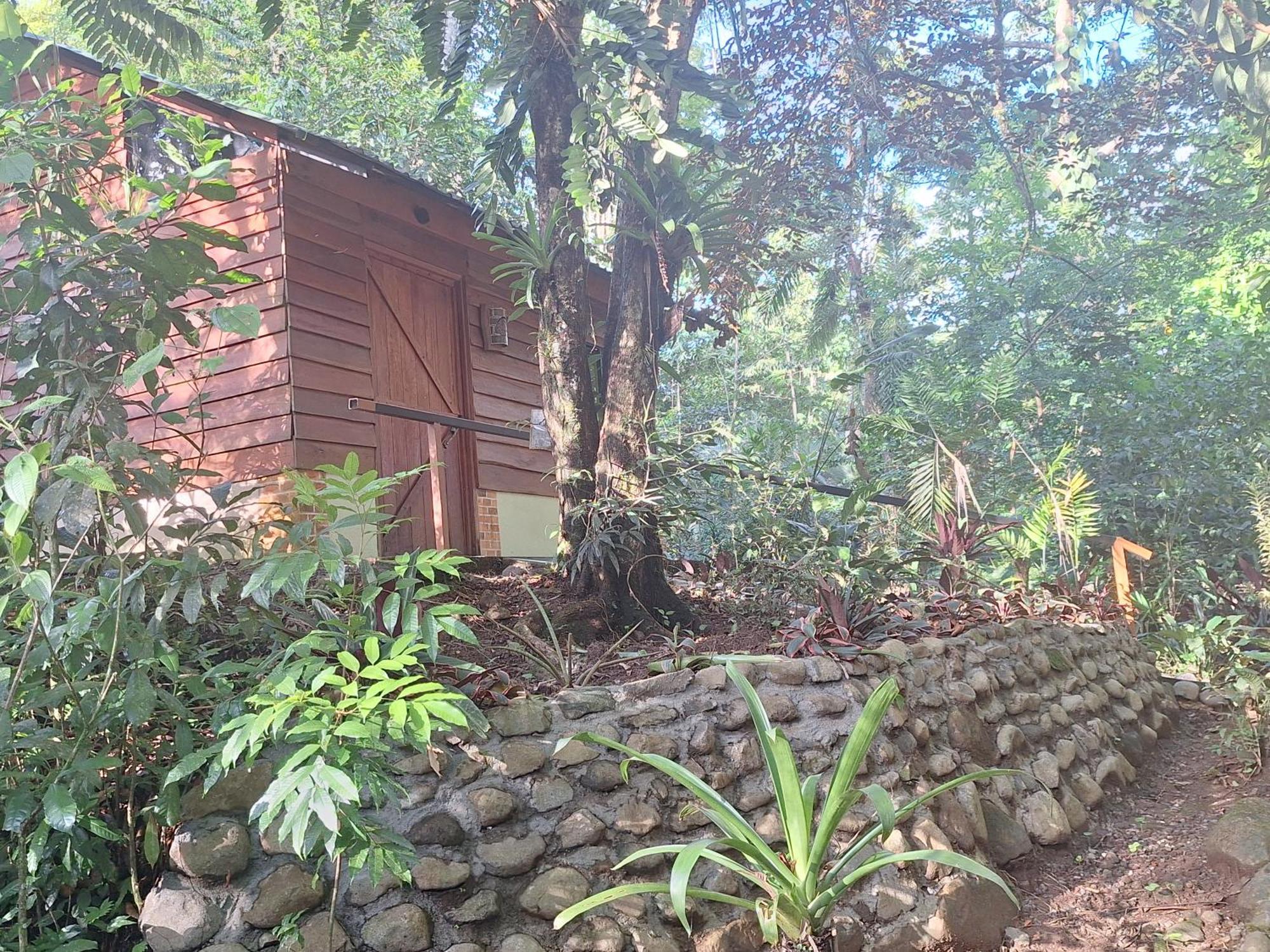 Guapote Lodge La Tigra  Exteriér fotografie