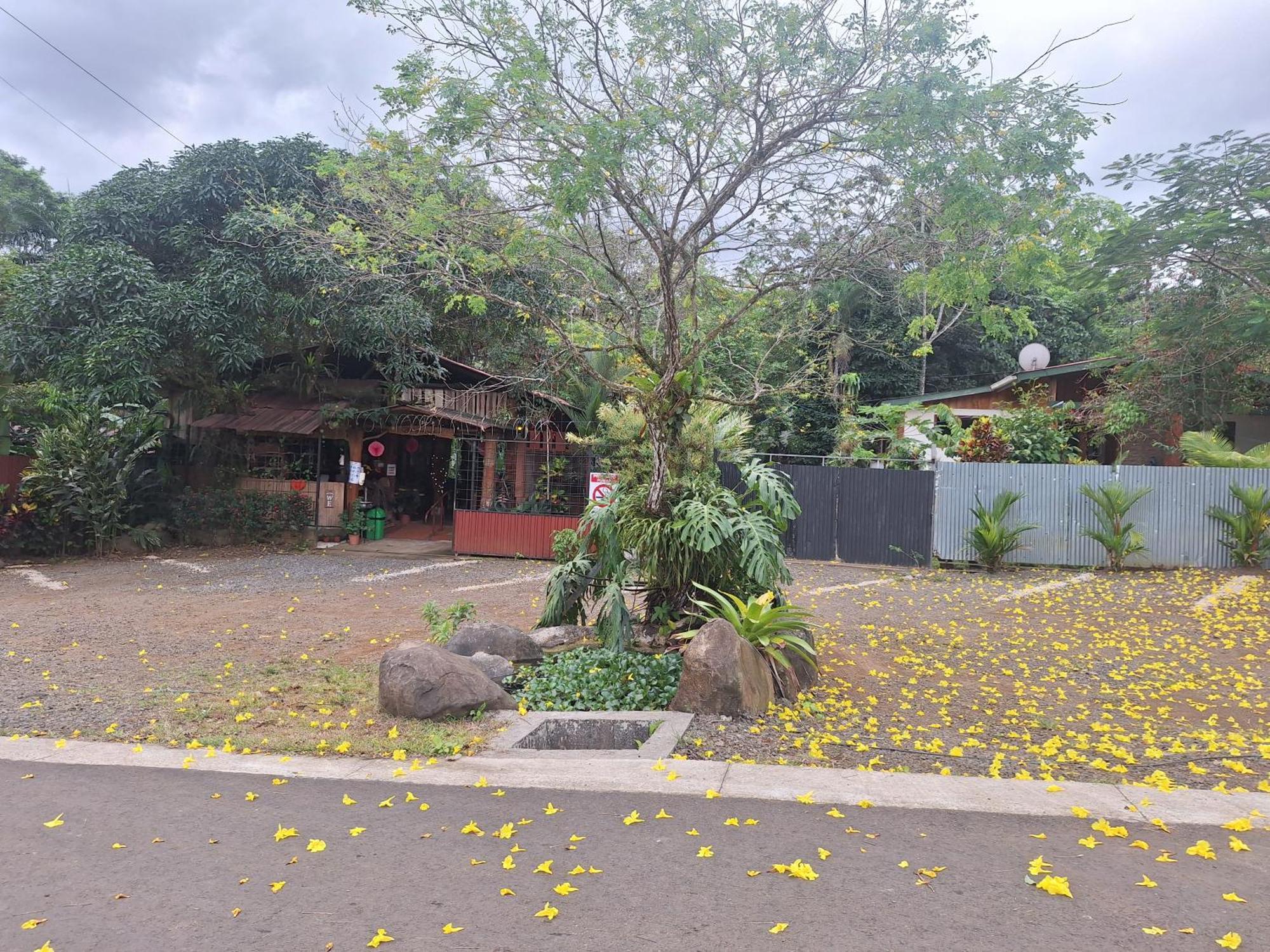 Guapote Lodge La Tigra  Exteriér fotografie