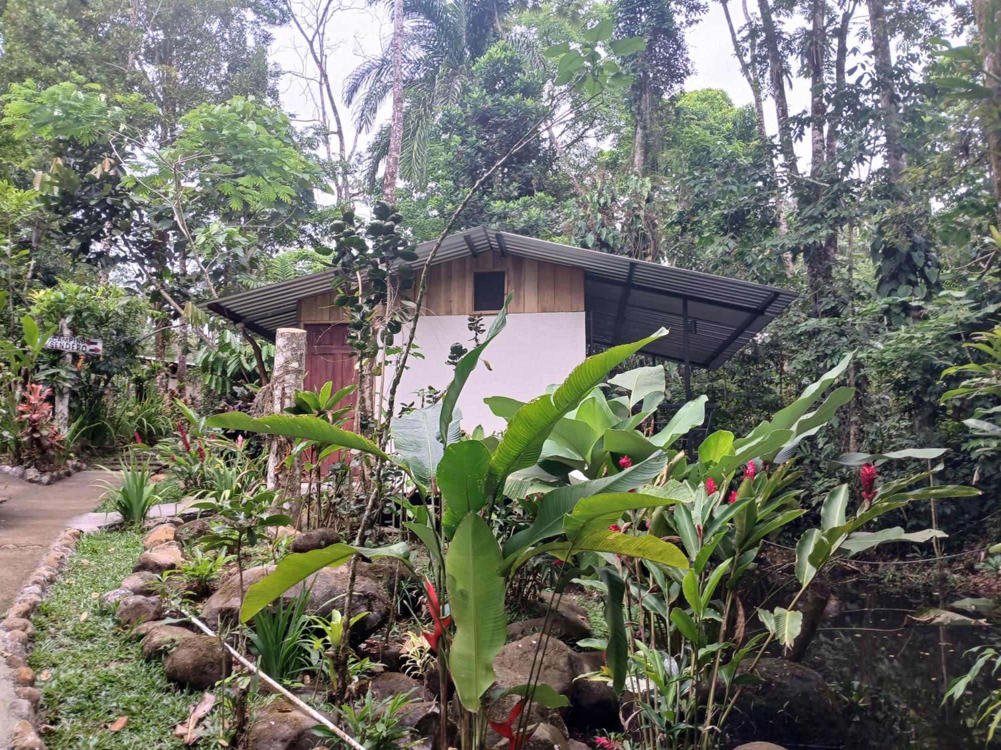 Guapote Lodge La Tigra  Pokoj fotografie
